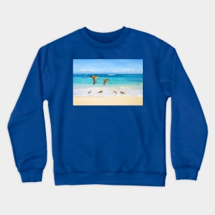 Sandpiper Birds at Ocean Beach Crewneck Sweatshirt